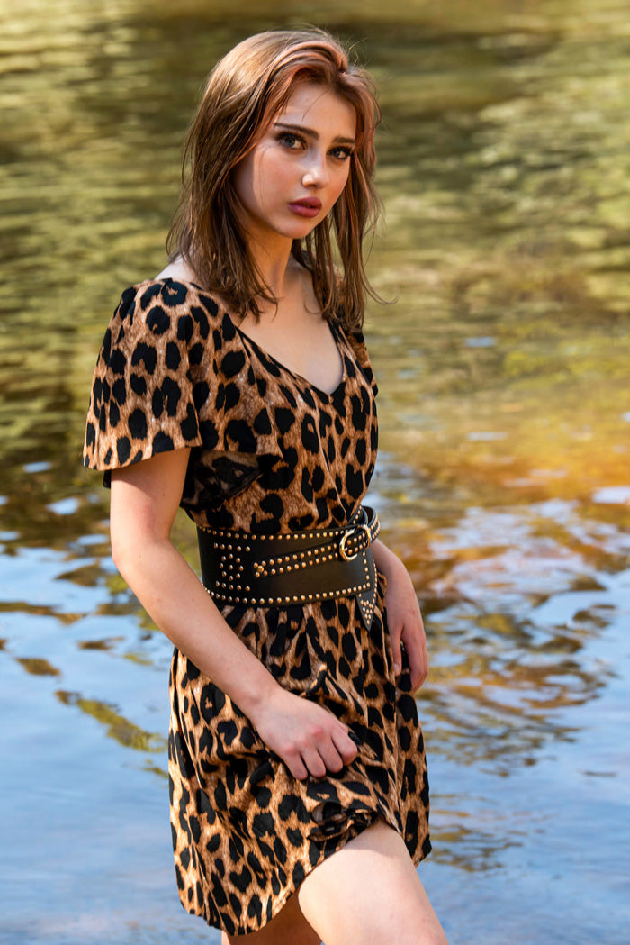 Annaliesa Dress - Leopard Shortish